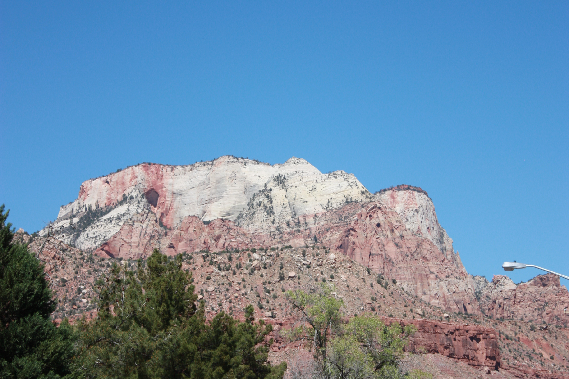 springdale, utah.webp
